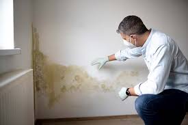 Sour Lake, TX Mold Inspection Company